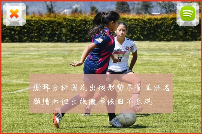 谢晖分析国足出线形势尽管亚洲名额增加但出线概率依旧不乐观