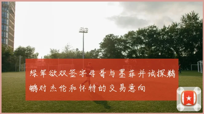 绿军欲双签字母哥与墨菲并试探鹈鹕对杰伦和怀特的交易意向